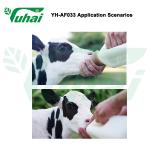 YH035 PP Calf Feeding Bottles 2 Pins White Grain Bottle In Feeding Supplies