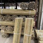 Colorful Raw Bamboo Canes Bamboo Poles For Garden Agriculture