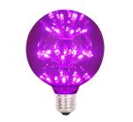 Outdoor Wedding Decorative Starry Bulb 2300k E27 G95 Edison Bulb