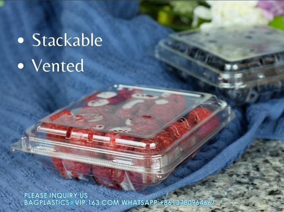 Wholesale Transparent Fresh Strawberry Packaging Container Supermarket Food Plastic Box Plastic Strawberry Packing Box