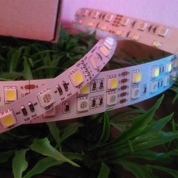 Buy cheap IP68 Outdoor 5050smd 120leds/m RGBW LED Strips from wholesalers