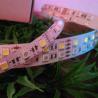 Buy cheap IP68 Outdoor 5050smd 120leds/m RGBW LED Strips from wholesalers
