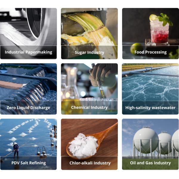 Lithium Hydroxide 4T/H Single MVR Evaporator Crystallization System