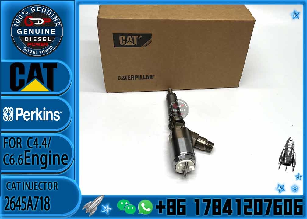 CAT Diesel engine fuel injector 2645A718 10R-7673 10R-7676 2645A734 10R-7674 10R-7668 10R-7938 10R-7939