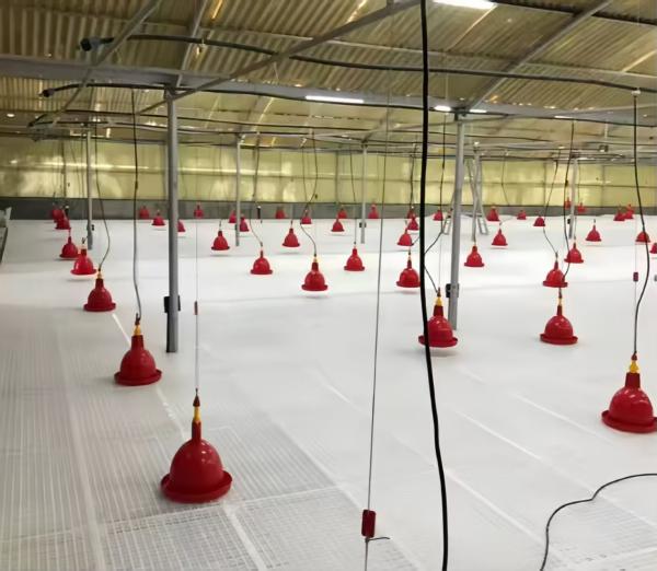 Buy cheap KXD Broiler Poultry Equipment Automatic Poultry Farm Plastic Slatted Flooring from wholesalers