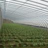 Buy cheap Film Covered Sunlight-Enhanced Greenhouse for Cucumber Cultivation in Sand Culture from wholesalers
