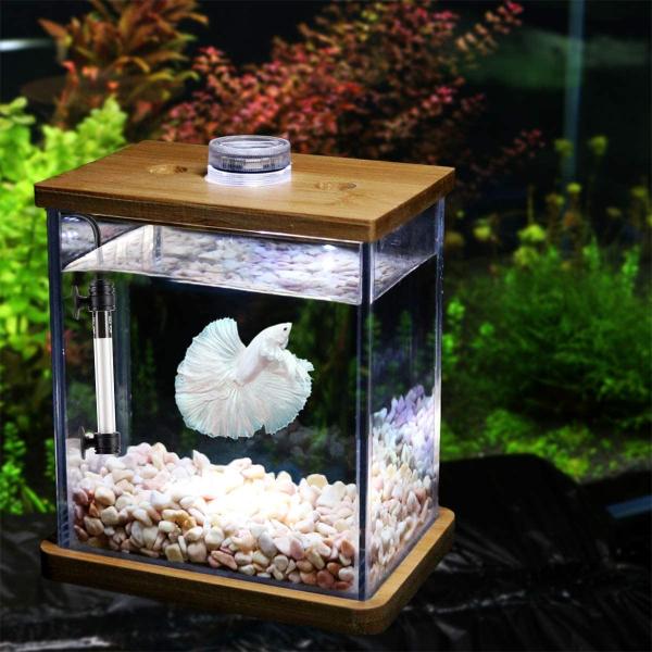 Buy cheap 50 Watt Adjustable Submersible Heater For Turtle from wholesalers