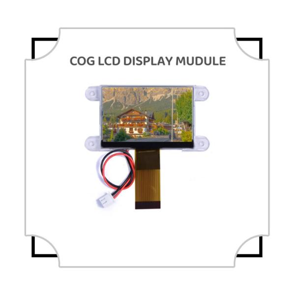 Quality 12864 Resolution OEM ODM 5.0 Inch TN STN LCD Screen Modules for sale