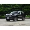 Buy cheap Most Popular High Speed Hybrid SUV Tank 500 3.0T 4WD 5/7 Seats SUV from wholesalers
