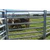 Buy cheap Heavy Duty 10pcs Bundle Heavy Duty Used Cattle Yards For Sale & Gate for Au from wholesalers