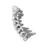 Buy cheap ISO PEEK Spinal Fusion Cage Degenerative Disc Disease Cervical Fusion Cage from wholesalers