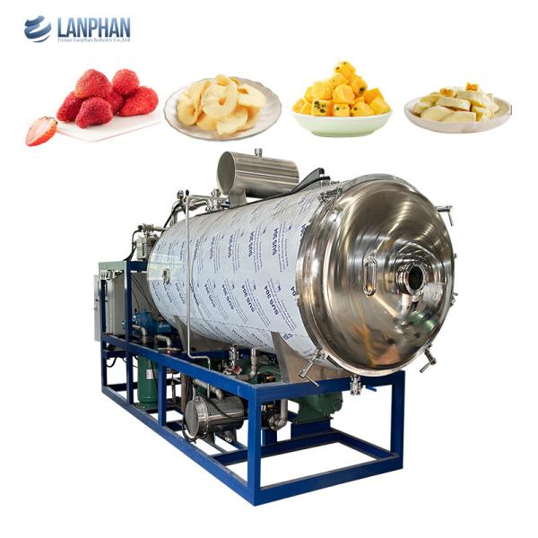 Large Stainless Steel Food Freeze Dryer Fruit Flower Industrial Freeze Drying
