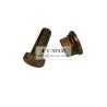 Buy cheap M4 - M72 Dimension Car Bolt , Stainless Steel Nuts and Bolts L = 75MM Φ 22MM from wholesalers