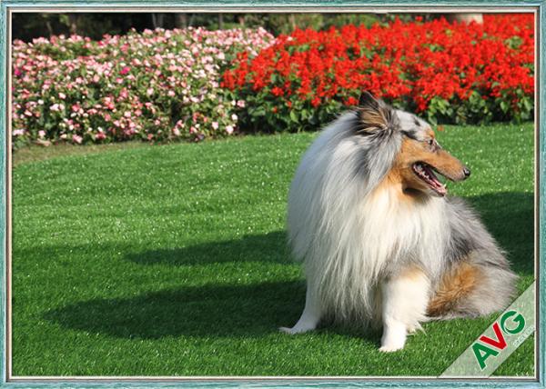 Buy cheap Anti Bacterial Soft Permeable Fake Green Grass Pet Grass Field Green Color from wholesalers