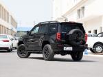 Good Condition New Version Adult Personal High Speed New Energy Hybrid EV Gas