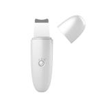 Buy cheap FCC Skin Whitening Rejuvenation Ultrasonic Skin Scrubber from wholesalers
