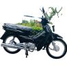 Buy cheap Four Stroke 125cc Moped Motorcycle Air Cooled Customized Color from wholesalers