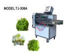 Commercial Fruit Vegetable Washer Machine , Vegetables Processing Line