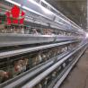 Buy cheap Cage Manufacturer 90 - 160 Birds Hot Galvanized Laying Hen Farming Equipments Layer Chicken Cage from wholesalers