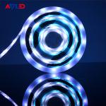 WS2811 RGB LED Strip IC Programmable Addressable Digital Dreamcolor 12V 5050