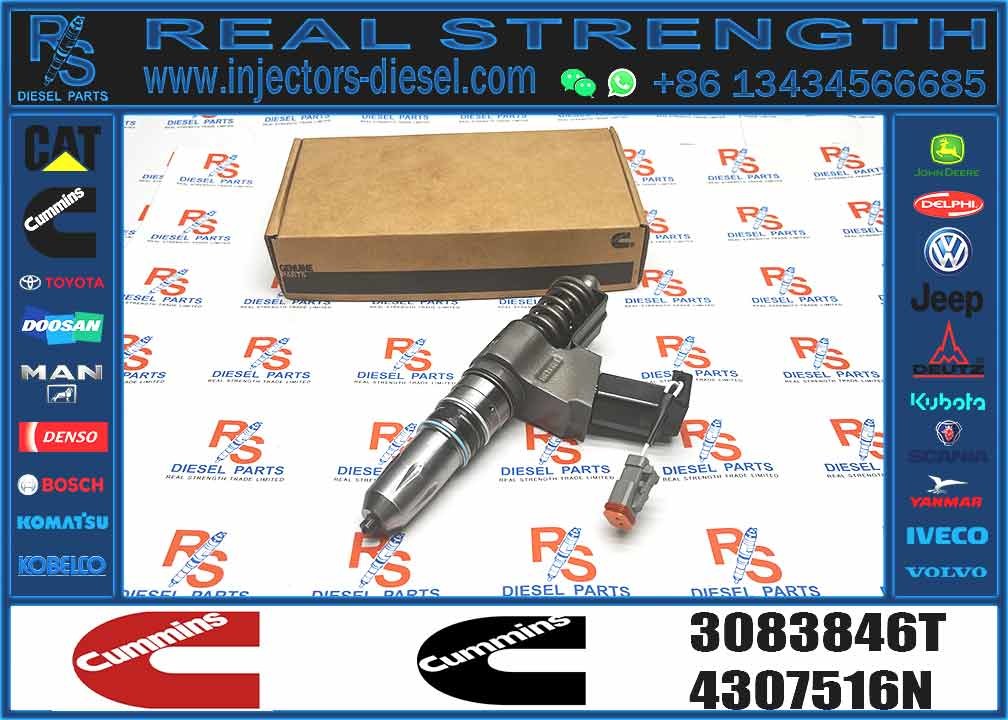 14 Common Rail Fuel Injector 3411764 3081315F 3073995F 3083846T 3083848F 3411766F