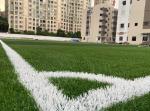 Dtex Stem Shape Artificial Football Turf For Disease Resistance