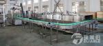 Beer Electric Glass Bottle Filling Machine 3 In 1 Rinsing Filling Capping