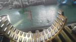 Bearings, Timken bearing, FAG bearing , SKF bearing , RBC bearing, Oilfield