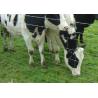 Buy cheap Galvanised Farm Hinge Joint Field Fence Metal Hog Wire Fence 1.2-1.44m from wholesalers