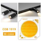 Bi-Color 1919 Chip White + Warm White 1919 Bi-color SMD LED 18w 24w 25w 30w