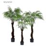 Buy cheap Tropical Artificial Outdoor Ferns Palm Tree Environmental Customized Size from wholesalers