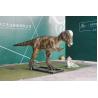 Buy cheap Rainproof Realistic Animatronic Dinosaur , Artificial Dinosaur For Green Park from wholesalers
