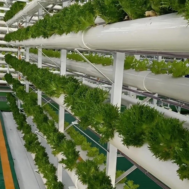 Innovative Agriculture Arches Tunnel Greenhouse Kit