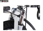 14 Inch Long Range Electric Bike 250w 36v Lithium Battery AC 110-240V TM-KV-1420