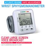 Digital Arm Blood Pressure Machine Monitor 13485 Standard