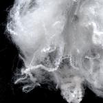 Raw White Virgin PTT Bosilun Fiber High Toughness For Producing Knit Goods
