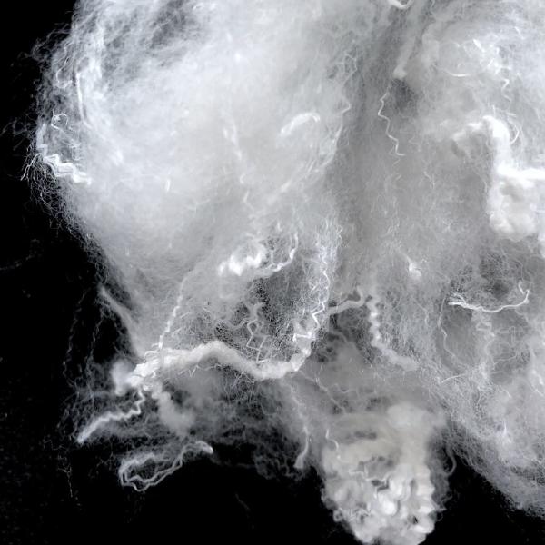 Buy cheap Raw White Virgin PTT Bosilun Fiber High Toughness For Producing Knit Goods from wholesalers