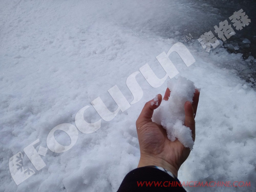 Rake Ice Storage and Crushing Snow Making System for 700 Square Meters Using Tube Ice