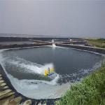 Smooth Pond Liner HDPE Geomembrane 1mm for Fish Farming in Environmental