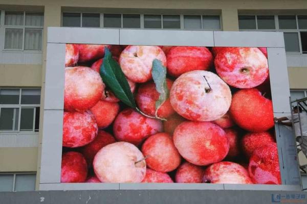 Buy cheap DVI Rental LED Screens 6500nit Brightness P4.81 Full Color LED Panels from wholesalers