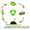 Buy cheap Home Compostable Eco Green Bioplastic Food Storage Resealable PLA Bags,Food, Gift, Household, Restaurant, Store, Grocery from wholesalers