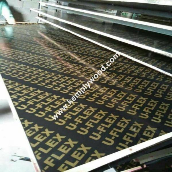 Buy cheap Cheap price black film faced plywood, black shuttering film faced plywood with brand logo, phenolic plywood from wholesalers
