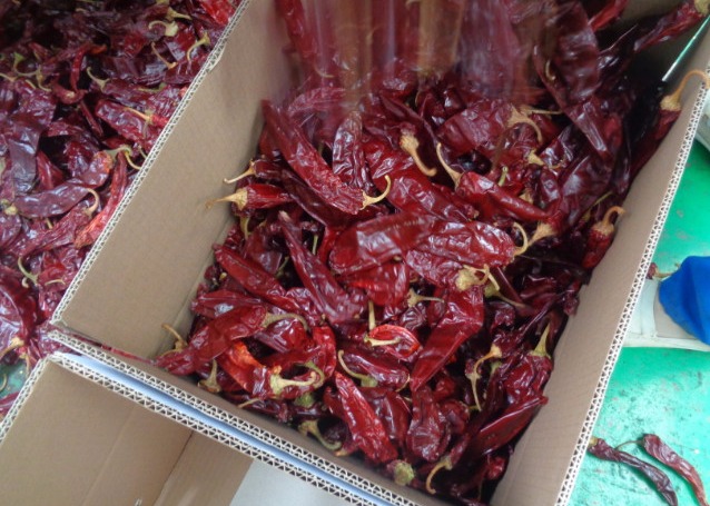 AD Dry Chile Guajillo Pepper Spicy Single Herbs Sweet Paprika With Stem