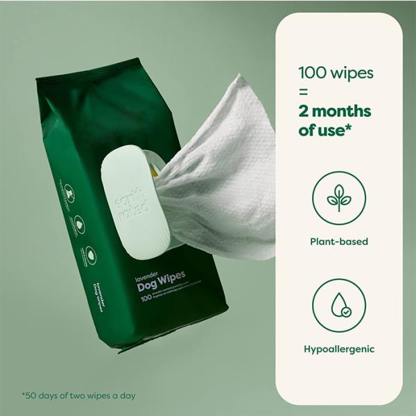 Buy cheap Hypoallergenic Fragrance Free Pet Wet Wipes Comfortable Dog Wipes Body For Paws Butt from wholesalers