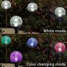 Buy cheap 0.06Watts 2.26 Pounds Outdoor Solar Ball Lights from wholesalers