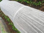 Waterproof PP Spunbond Fabric Roll White Color For Non Woven Geotextiles 10cm