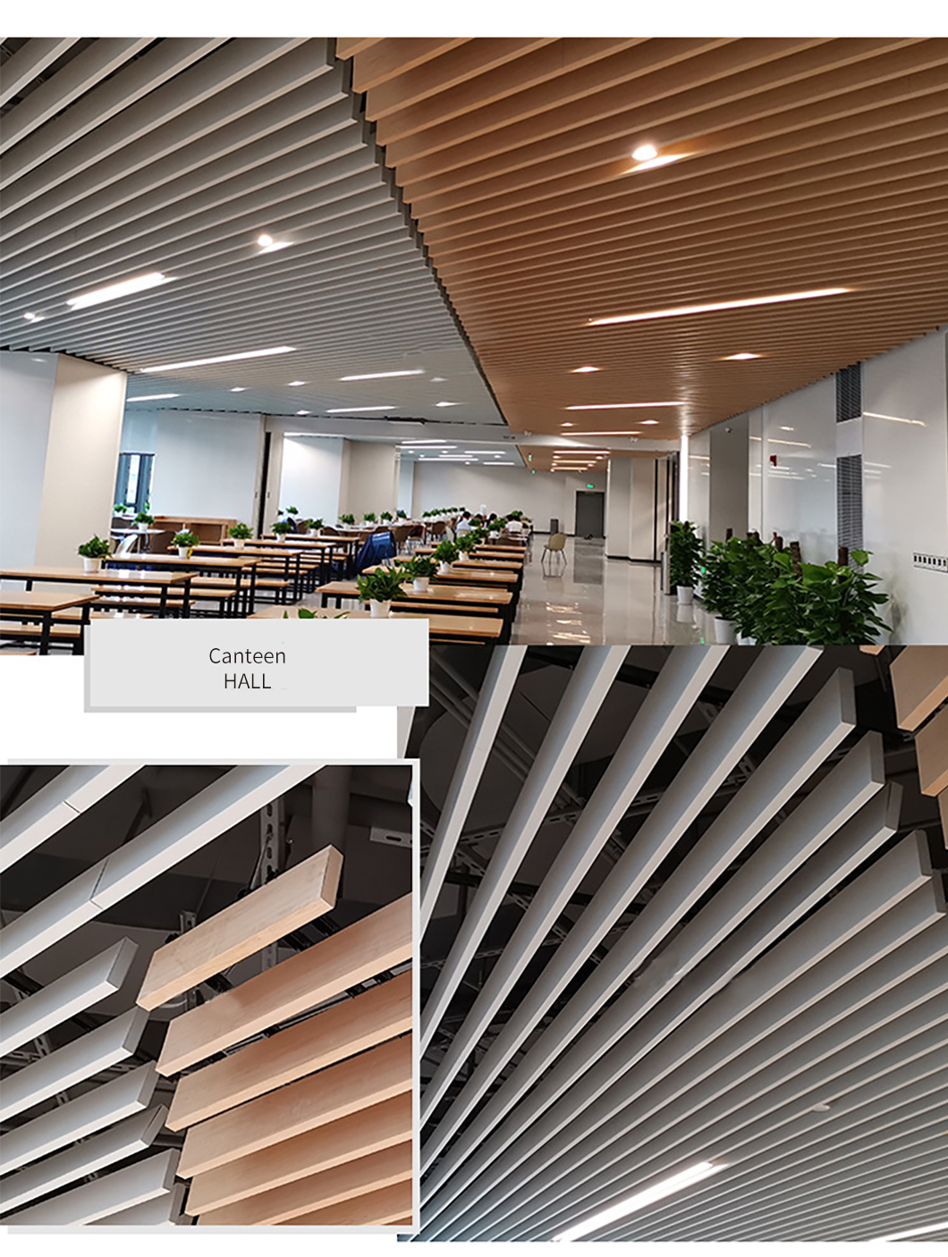 Customize GRG Moulding Made in 2014 Brazil GRG 3D Acoustic Hollow Out Gypsum Wall Panel