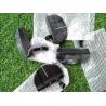 Buy cheap mallet golf putter, golf head , golf putter , complete golf putter from wholesalers