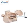 Buy cheap Plastic Medical Training Manikins Childbirth Simulator Female Reproductive System Model from wholesalers