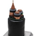 35mm 50mm 70mm 95mm XLPE Insulated Copper Core Steel Tape Armored PVC Power